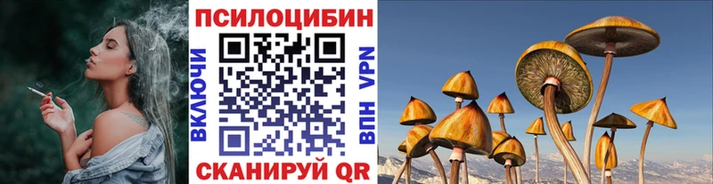 маркетплейс формула Терек Галлюциногенные грибы прущие грибы